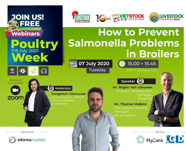 Poultry Week: How to prevent Salmonella problems in broilers