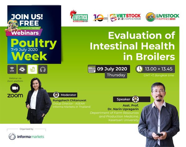 Poultry Week: Evaluation of intestinal health in broilers