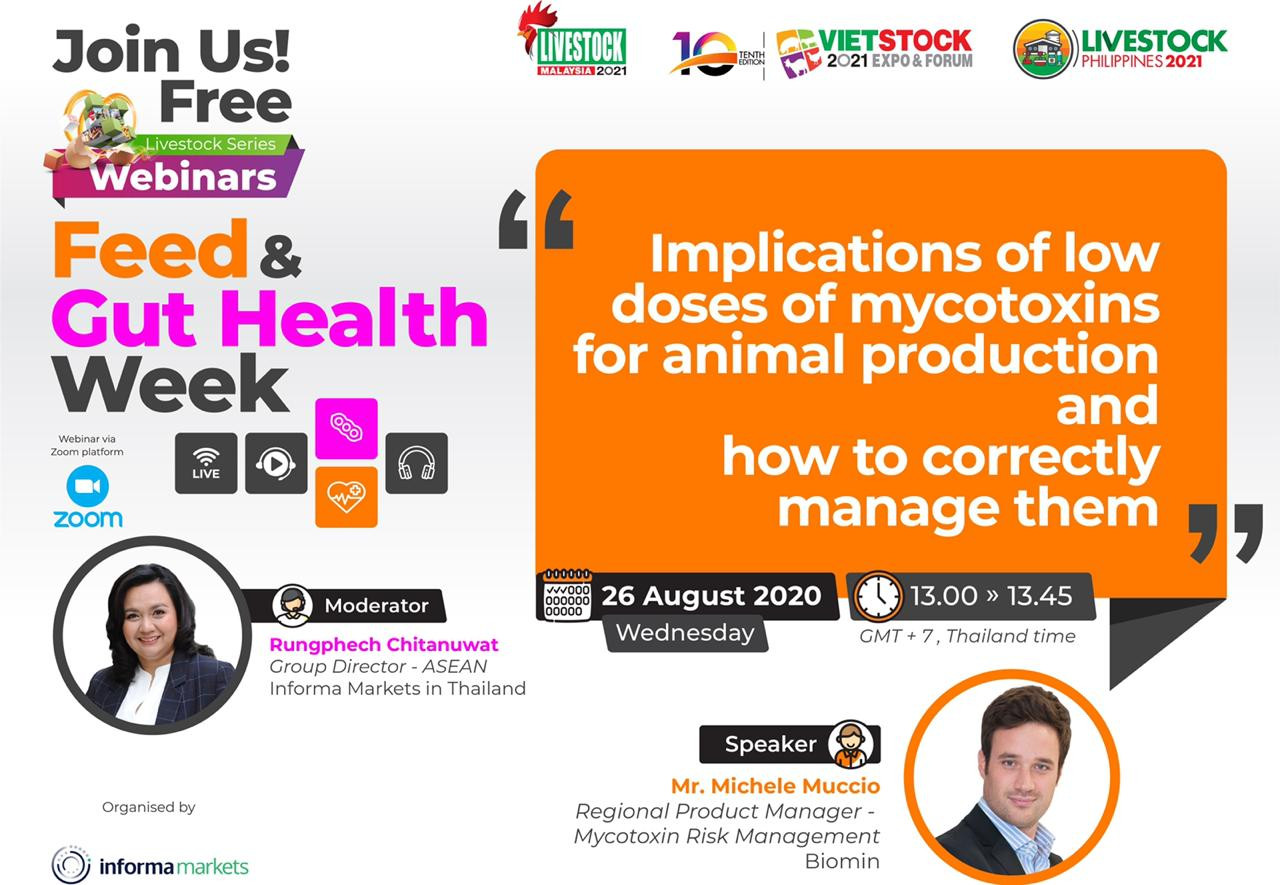 Feed & Gut Health Week: Implications of low doses of mycotoxins for animal production and how to correctly manage them