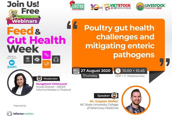 Feed & Gut Health: Poultry gut health challenges and mitigating enteric pathogens