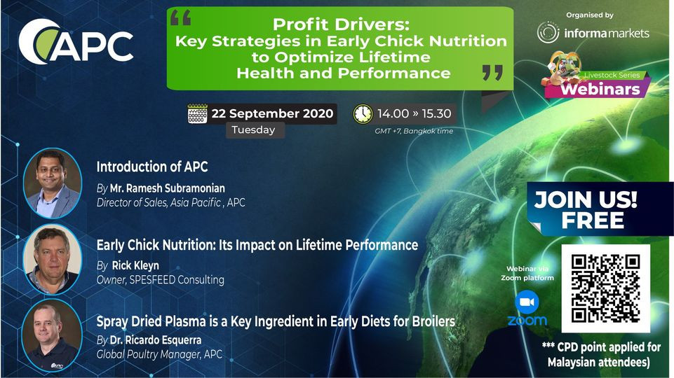 Profit Drivers: Key Strategies in Early Chick Nutrition to Optimize Lifetime Health and Performance