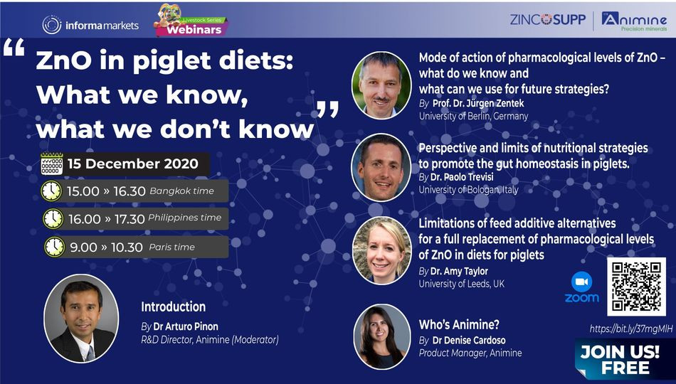 ZINCOSUPP RESEARCH PROGRAM - ZnO in Piglets Diets: What we know, What we don't know